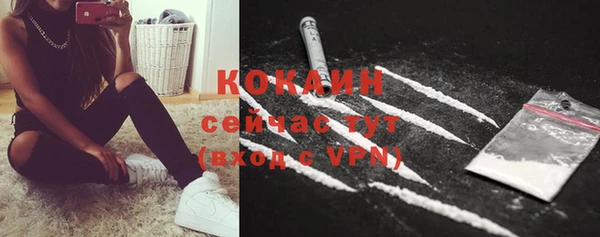 гидра Дмитриев