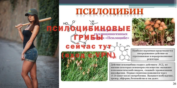 гидропоника Дмитров