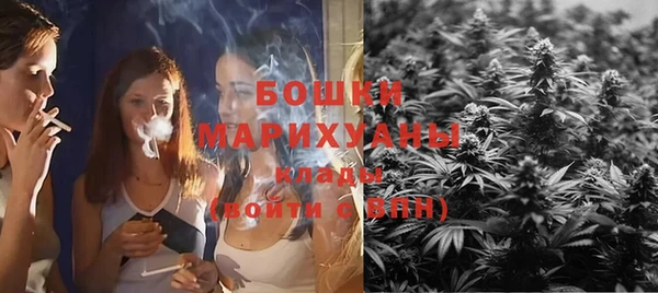 гидра Дмитриев