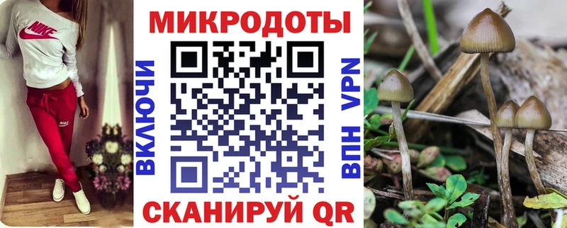 Галлюциногенные грибы прущие грибы  Рубцовск 